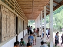 akha (75)